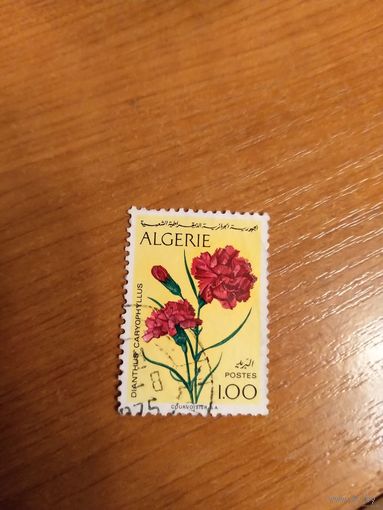 1973 Алжир флора цветы (4-6)