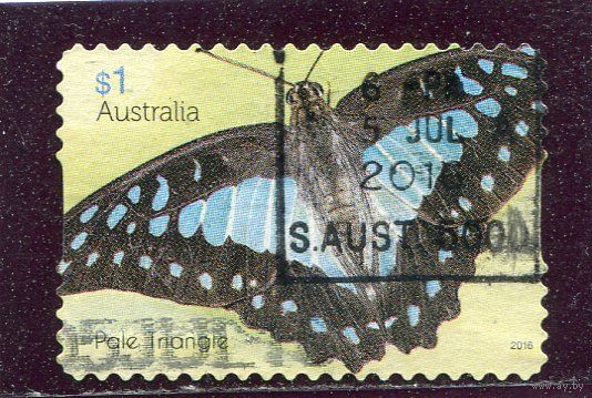 Австралии. Бабочки