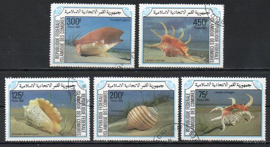 Раковины Коморы 1985 год серия из 5 марок