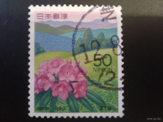 Япония 1999 рододендрон