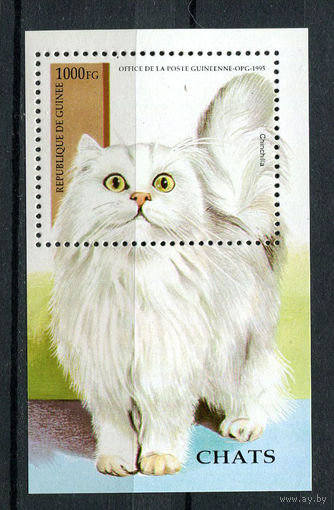 Гвинея - 1995 - Кошки - [Mi. bl. 492] - 1 блок. MNH.