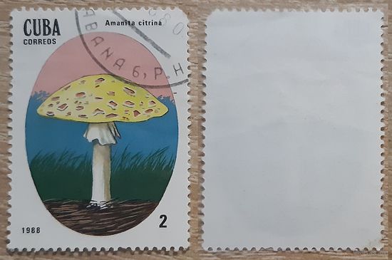 Куба 1988 Ядовитые грибы.2 с