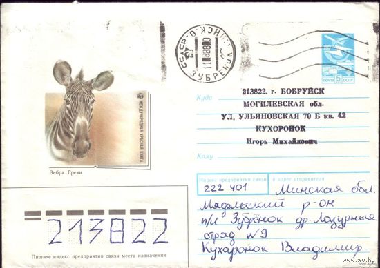 1988 год А.Исаков Зебра Греви 88-124