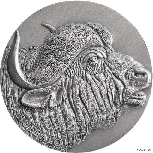Камерун 2000 франков 2022г. "Африканский буйвол". Монета в капсуле; деревянном подарочном футляре; сертификат; коробка. СЕРЕБРО 62,20гр.(2 oz).
