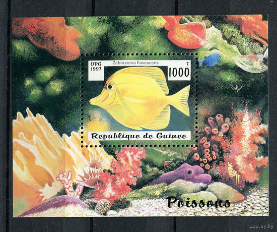 Гвинея - 1997 - Рыбки - [Mi. bl. 510] - 1 блок. MNH.