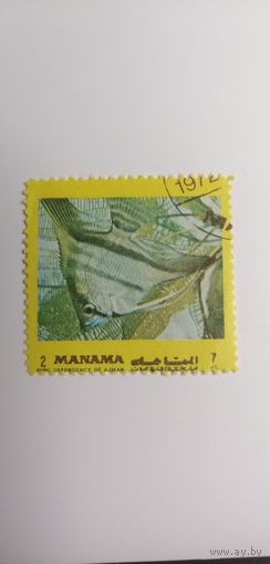 Манама 1972. Рыба Средиземноморья