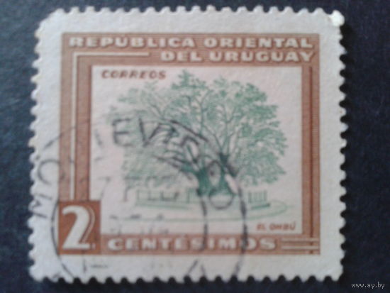 Уругвай 1954 дерево