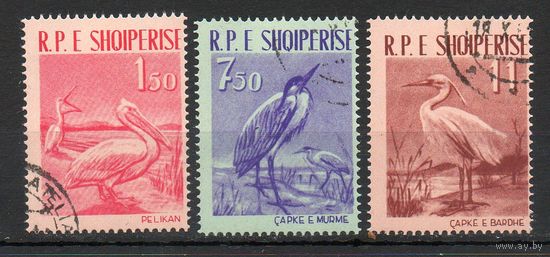 Птицы Албания 1961 год серия из 3-х марок