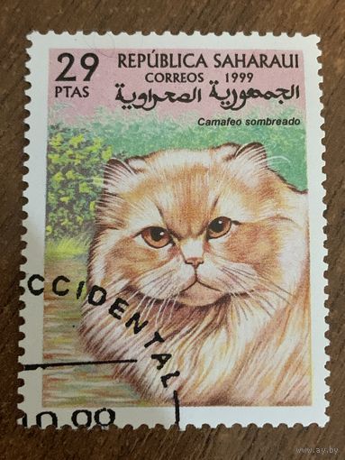 Сахара 1999. Домашние кошки. Camafeo sombreado. Марка из серии