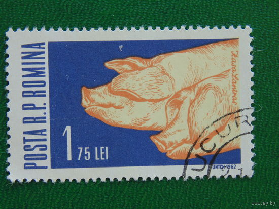 Румыния 1962г. Фауна.