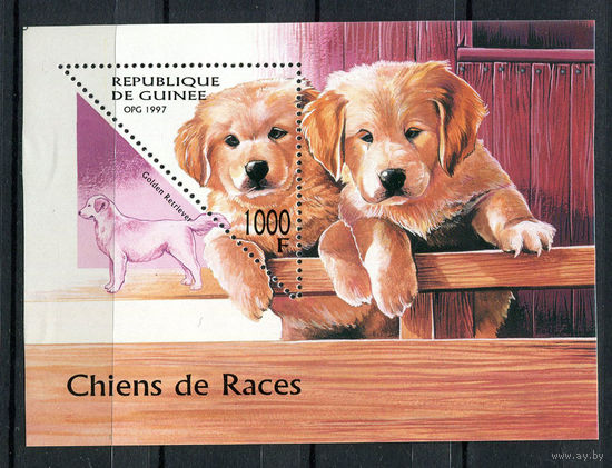 Гвинея - 1997 - Собаки - [Mi. bl. 514] - 1 блок. MNH.