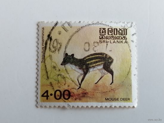 Шри Ланка 1981. Животные