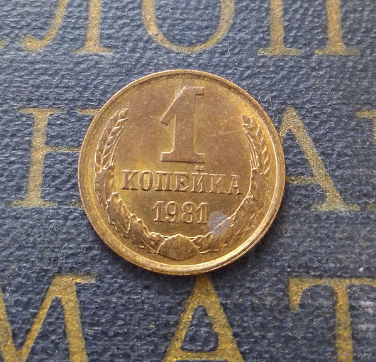 1 копейка 1981 СССР #07