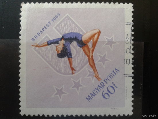 Венгрия 1965 Универсиада, гимнастика
