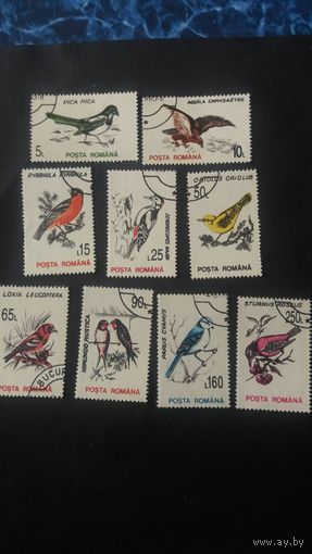Румыния 1993 9м птицы