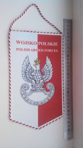 Сухопутные войска, Польша