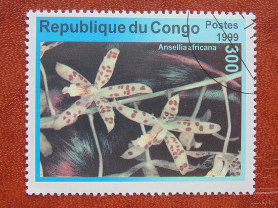 Конго  1999г. Флора.
