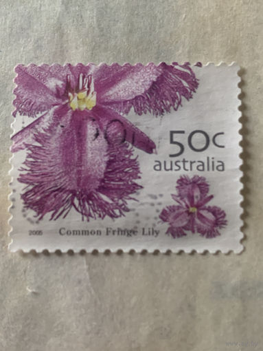 Австралия 2005. Флора. Цветы