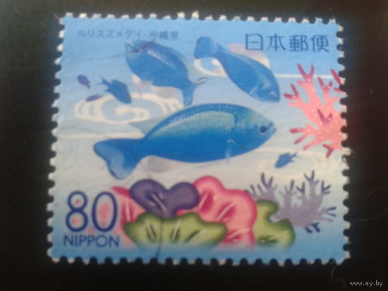 Япония 2007 рыбы