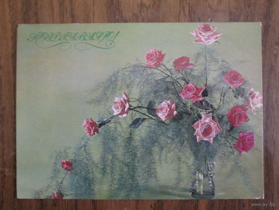 Почтовая открытка.1980г.Чистая.