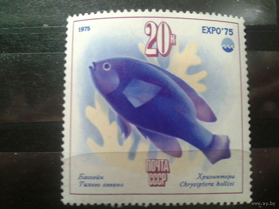 СССР 1975 рыба