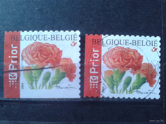 Бельгия 2004 Стандарт, цветы, марки из буклета
