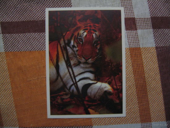 Календарик Тигр 1998 год
