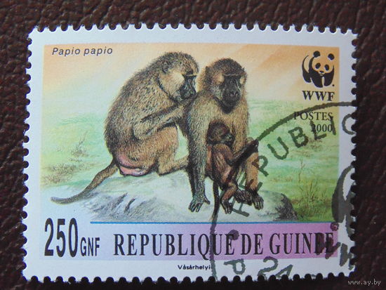 Гвинея 2000 г. Фауна.