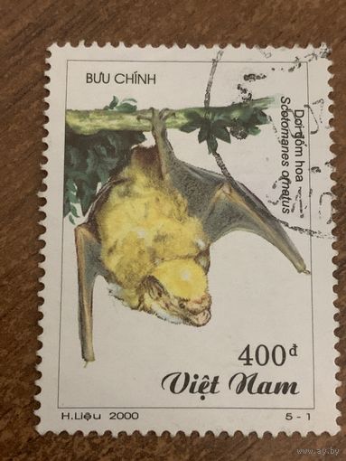 Вьетнам 2000. Летучие мыши. Scotomanes ornatus. Марка из серии