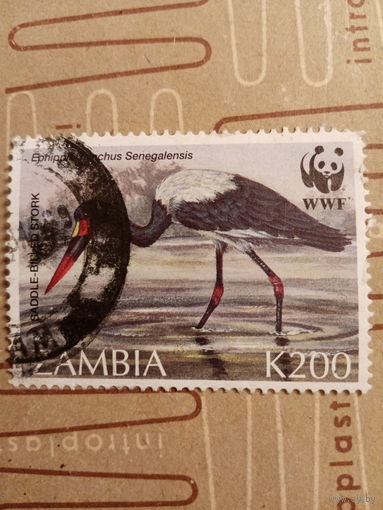 Замбия. Фауна. Птицы