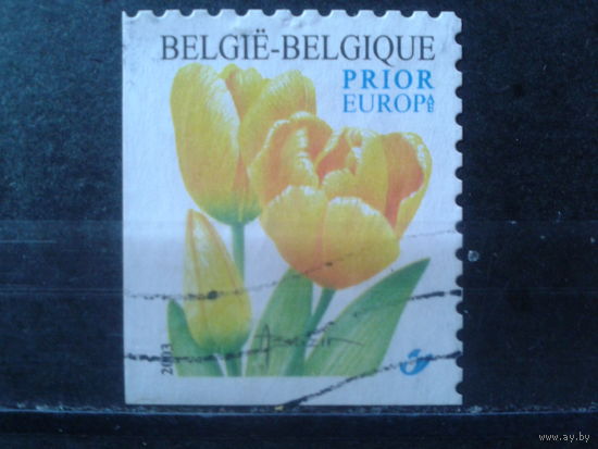 Бельгия 2003 Желтые тюльпаны, угловая марка в буклете