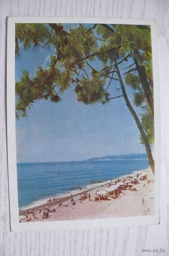 Трахман М.(фото), Сочи. Пляж; 1956, чистая.