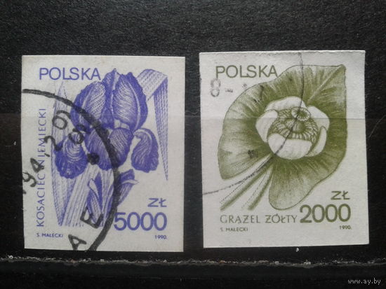 Польша, 1990, Стандарт, лекарственные растения,без перф., полная серия