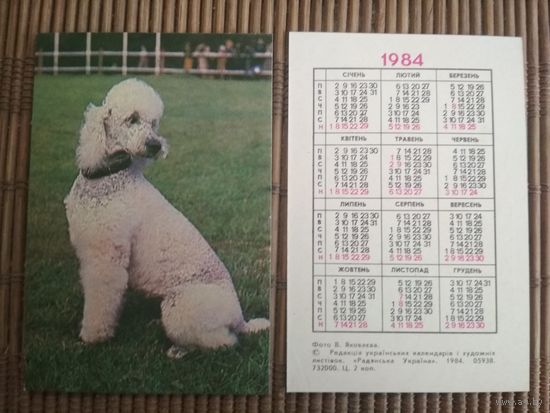 Карманный календарик.1984 год. Пудель