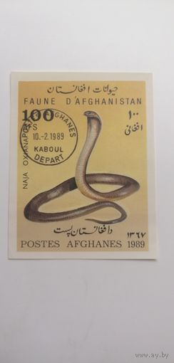 Блок Афганистан 1989. Змеи