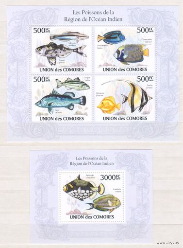 [1662] Коморы 2010. Фауна.Рыбы. МАЛЫЙ ЛИСТ+БЛОК.