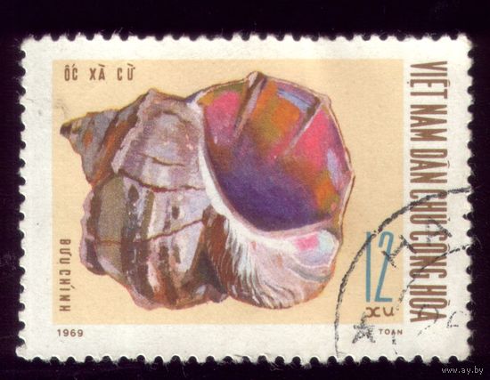 1 марка 1969 год Вьетнам Раковина 611