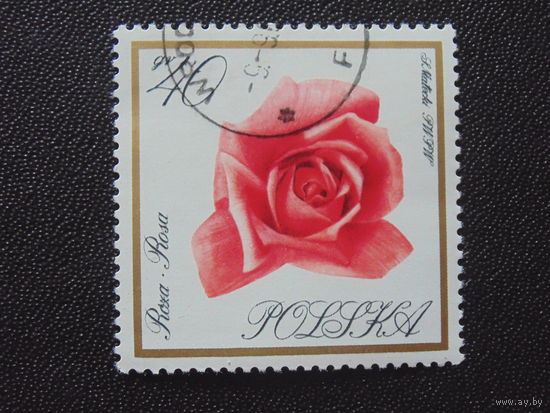 Польша 1966 г. Цветы.