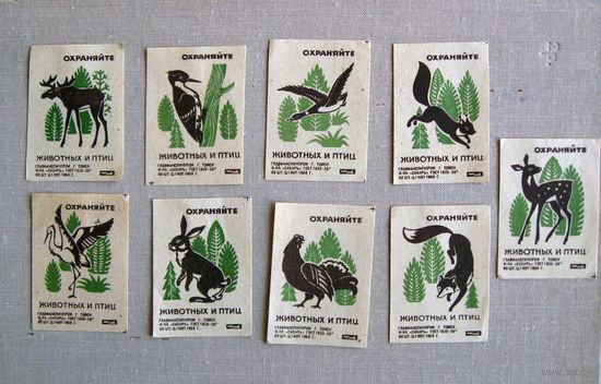 Спичечные этикетки Охраняйте животных и птиц 9 штук Томск 1968