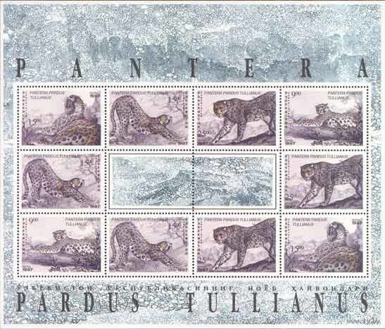 Леопарды Узбекистан 1997 год 1 малый лист