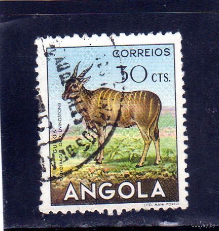 Ангола.Ми-371.Обыкновенная Эланда (Taurotragus oryx) Серия: Африканская дикая природа.1953.
