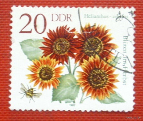 ГДР. Цветы. ( 1 марка ) 1982 года. 2-11.