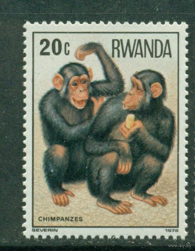 Руанда 1978 ** Фауна. Приматы. Обезьяны