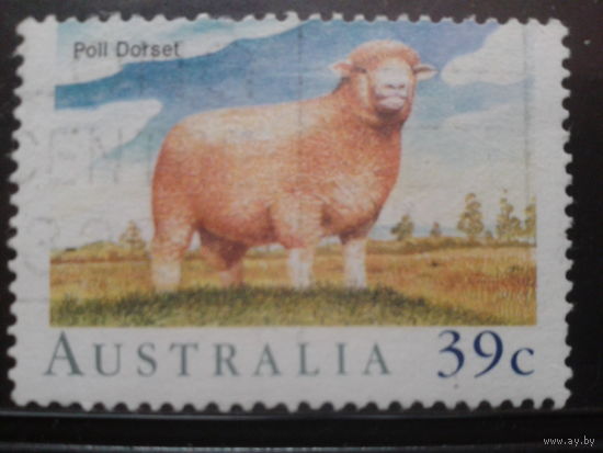 Австралия 1989 Овцеводство