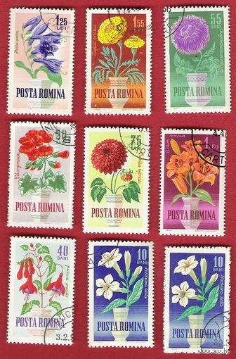 Румыния 1964 Садовые цветы