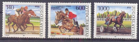 Югославия лошадь спорт