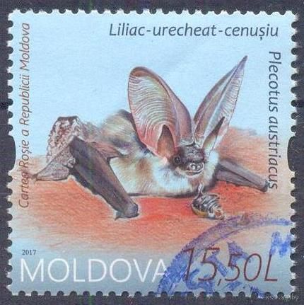 Молдова фауна