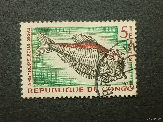 Конго 1961. Тропические рыбы