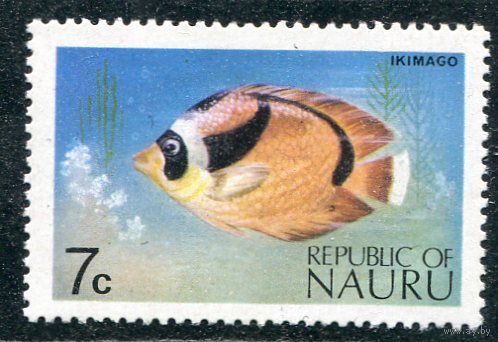 Науру. Фауна. Рыба ангел