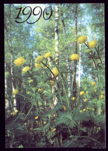 Жёлтые цветы 1990